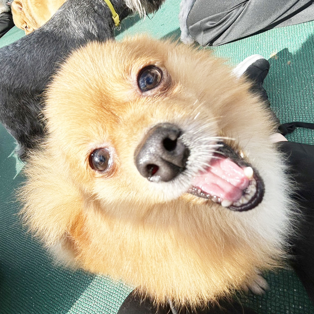 生徒が撮影した写真を送ってくれました！①
